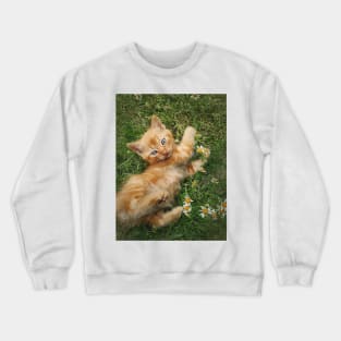 orange kitten among daisies Crewneck Sweatshirt